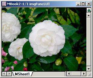 Example of Lookup Table options(output)