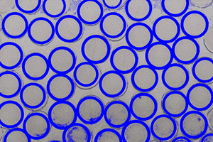 Bubble Image Area